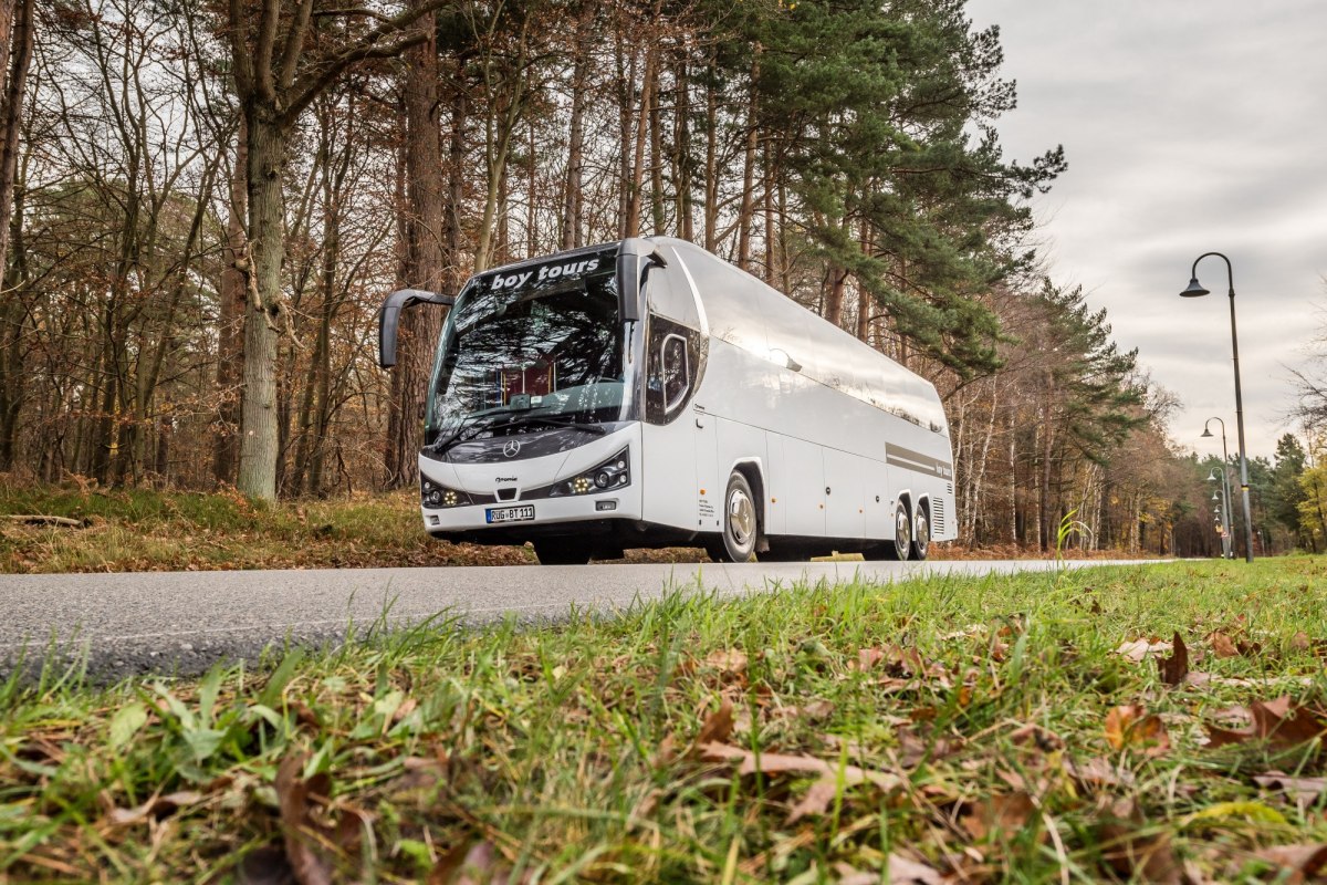 Bus-Sonderfahrt: Vogelpark Marlow, &copy; Binzer Bucht Tourismus