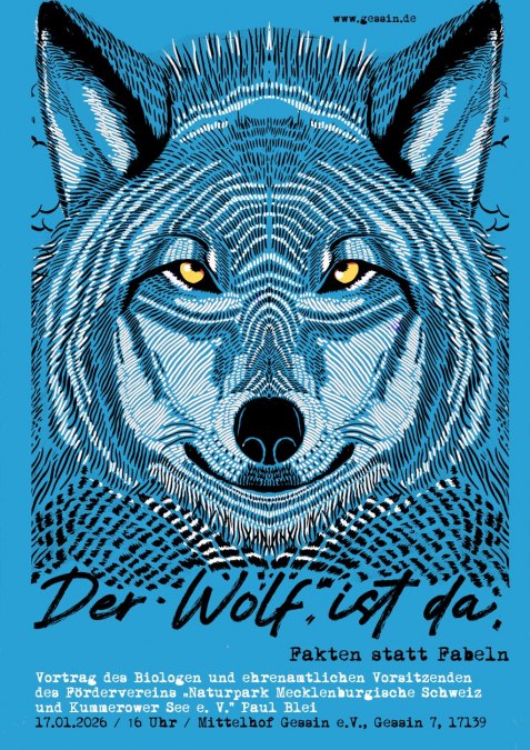 Wolf, © Katerstets Wolf, © Katerstets