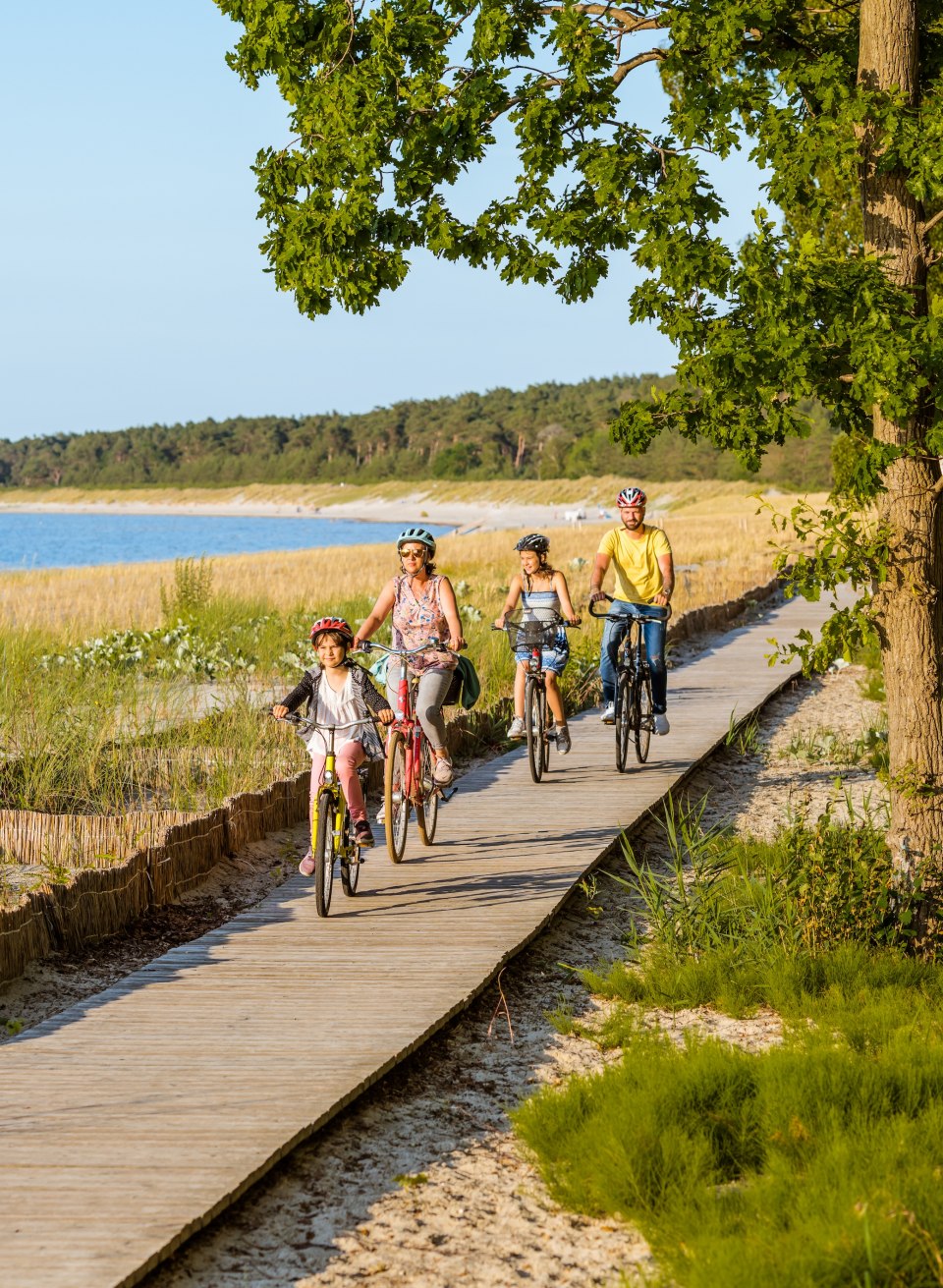 Eine Familie radelt auf einem Holzweg am Strand des Seebads Lubmin entlang, umgeben von D&uuml;nen, Gras und Blick auf das ruhige Boddenwasser.