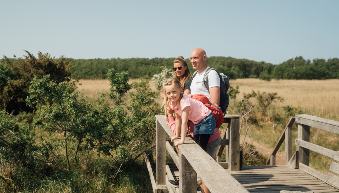 Een gezin staat in de zomer op een uitkijkpunt in het nationale park en kijkt in de verte. // Koekoek, waar ben je? Hobby-ornithologen komen aan hun trekken in het nationale park, want het soortenrijke vogelleven biedt dierenpuzzelplezier voor het hele gezin. // © MV-T/Petermann Een gezin staat in de zomer op een uitkijkpunt in het nationale park en kijkt in de verte.