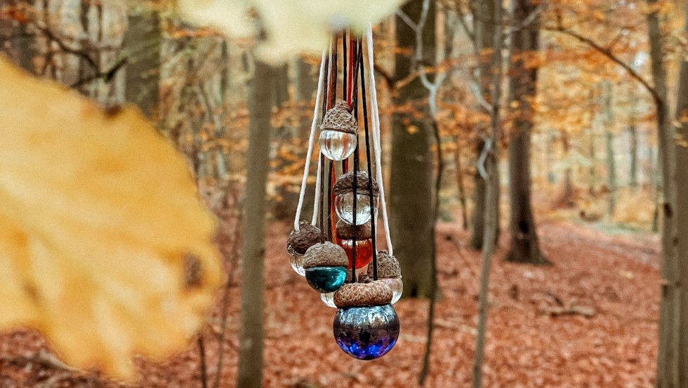 Glasmurmeln mit Eichelhütchen als Lichtfänger, © Marie Vois Glasmurmeln mit Eichelhütchen als Lichtfänger, © Marie Vois