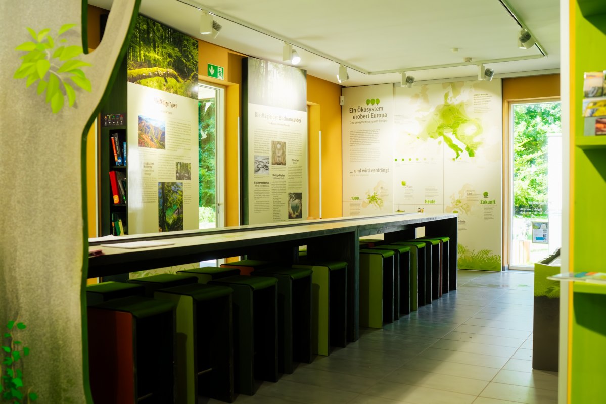Ausstellungsraum mit Informationstafeln, Pflanzenmotiven und einer Reihe von Hockern an einer langen Theke. // © Nationalaprk-Zentrum KÖNIGSSTUHL / Dan Petermann Ausstellungsraum mit Informationstafeln, Pflanzenmotiven und einer Reihe von Hockern an einer langen Theke. // © Nationalaprk-Zentrum KÖNIGSSTUHL / Dan Petermann