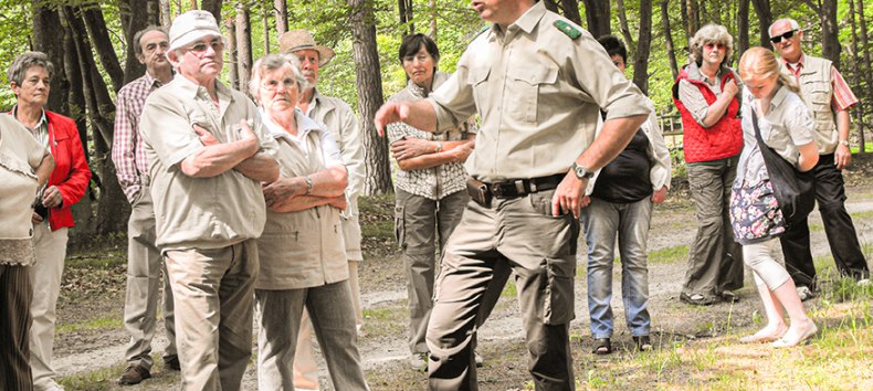 &copy; Infozentrum Wald und Moor