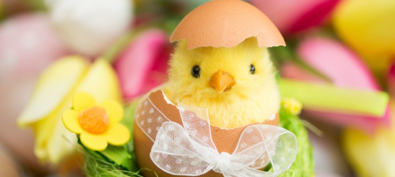 Osterbrunch 2026 // © www.fotolia.com Osterbrunch 2026 // © www.fotolia.com