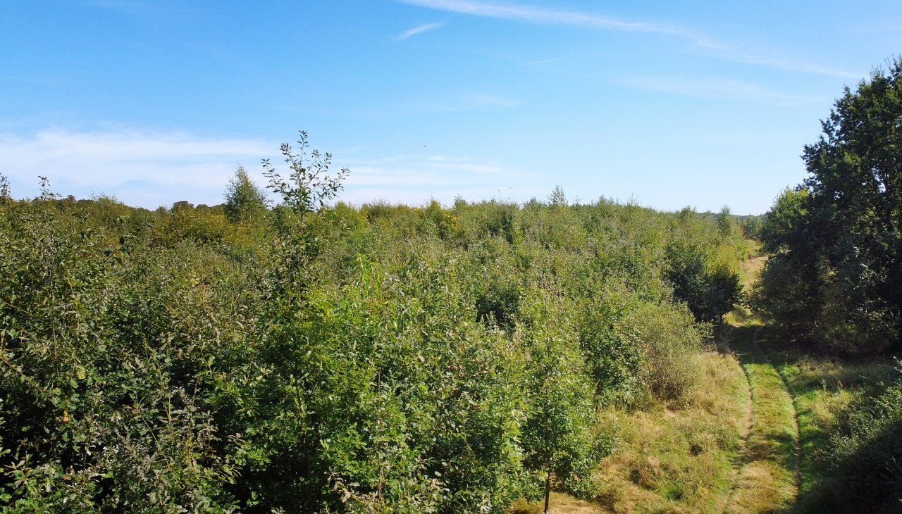 Klimaatbos Biosfeerreservaat Schaalsee, &copy; Landesforst MV