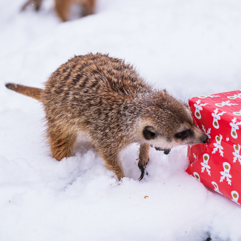 Bild Paten- und Sponsorenfest, &copy; Zoo Schwerin
