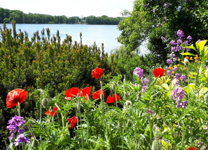 een tuin aan het meer // &copy; adfc-Schwerin