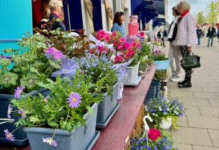 © © Die Stadtmagneten e. V. © © Die Stadtmagneten e. V.