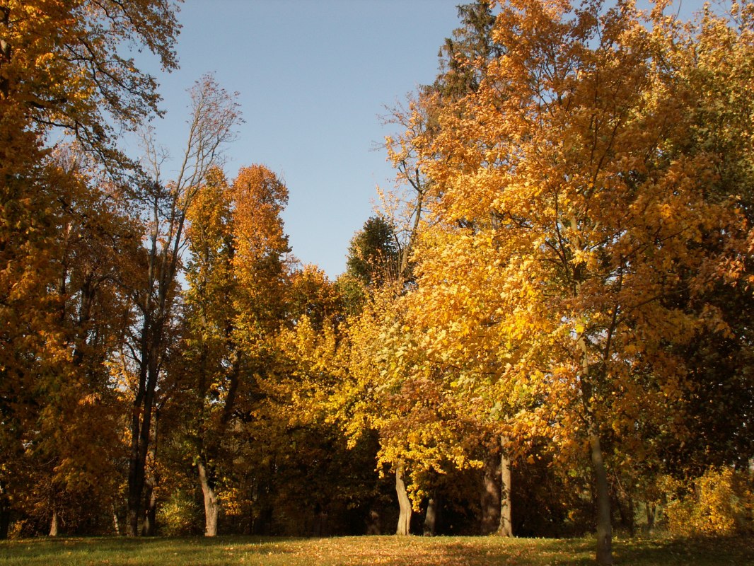 Ein Parkspaziergang im Herbst // &copy; Kr&ouml;ger