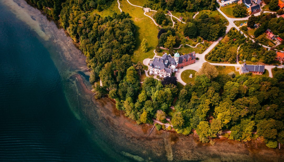 Zu DDR-Zeiten war Schloss Wiligrad so zugewachsen, dass man nichts von seiner Existenz ahnte. // © MV-T/Friedrich Zu DDR-Zeiten war Schloss Wiligrad so zugewachsen, dass man nichts von seiner Existenz ahnte. // © MV-T/Friedrich