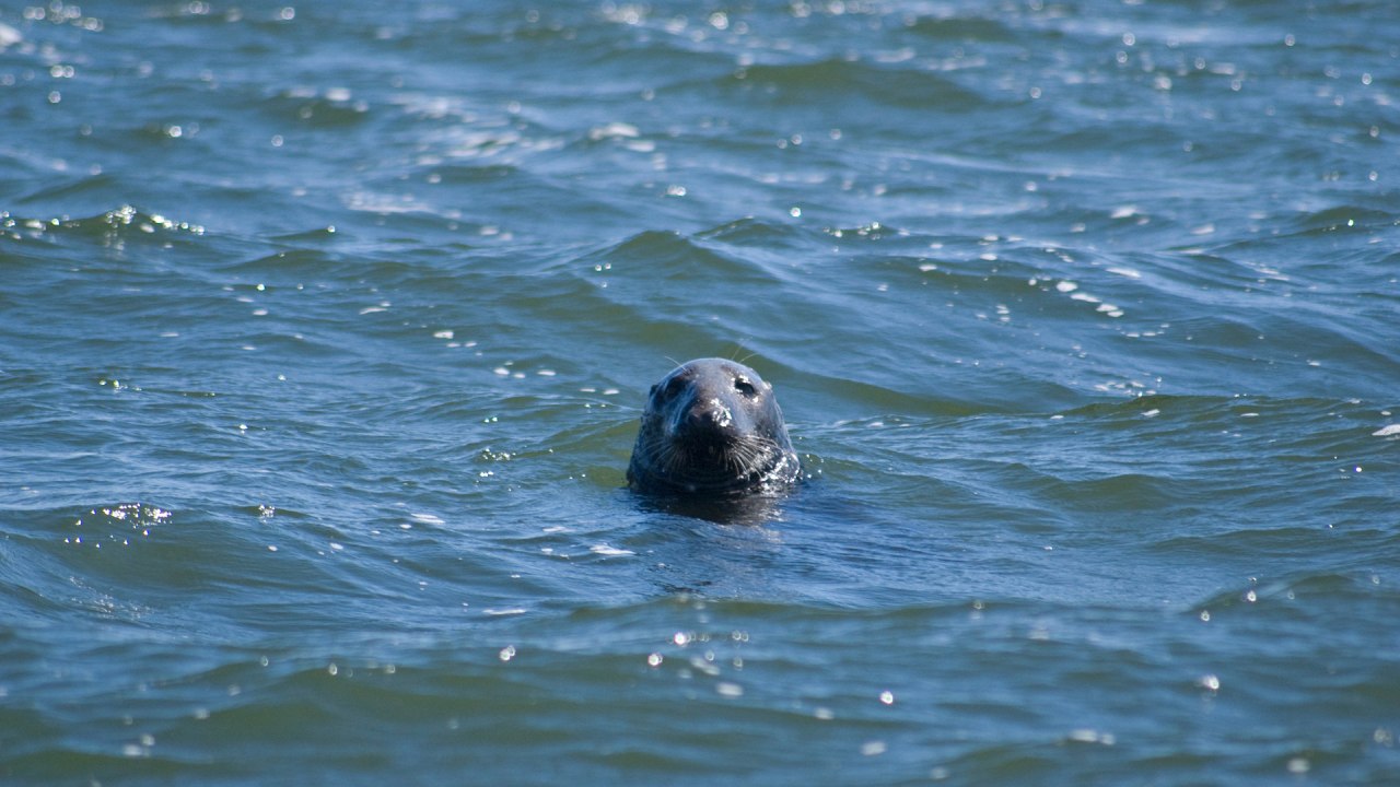 &copy; Wei&szlig;e Flotte GmbH