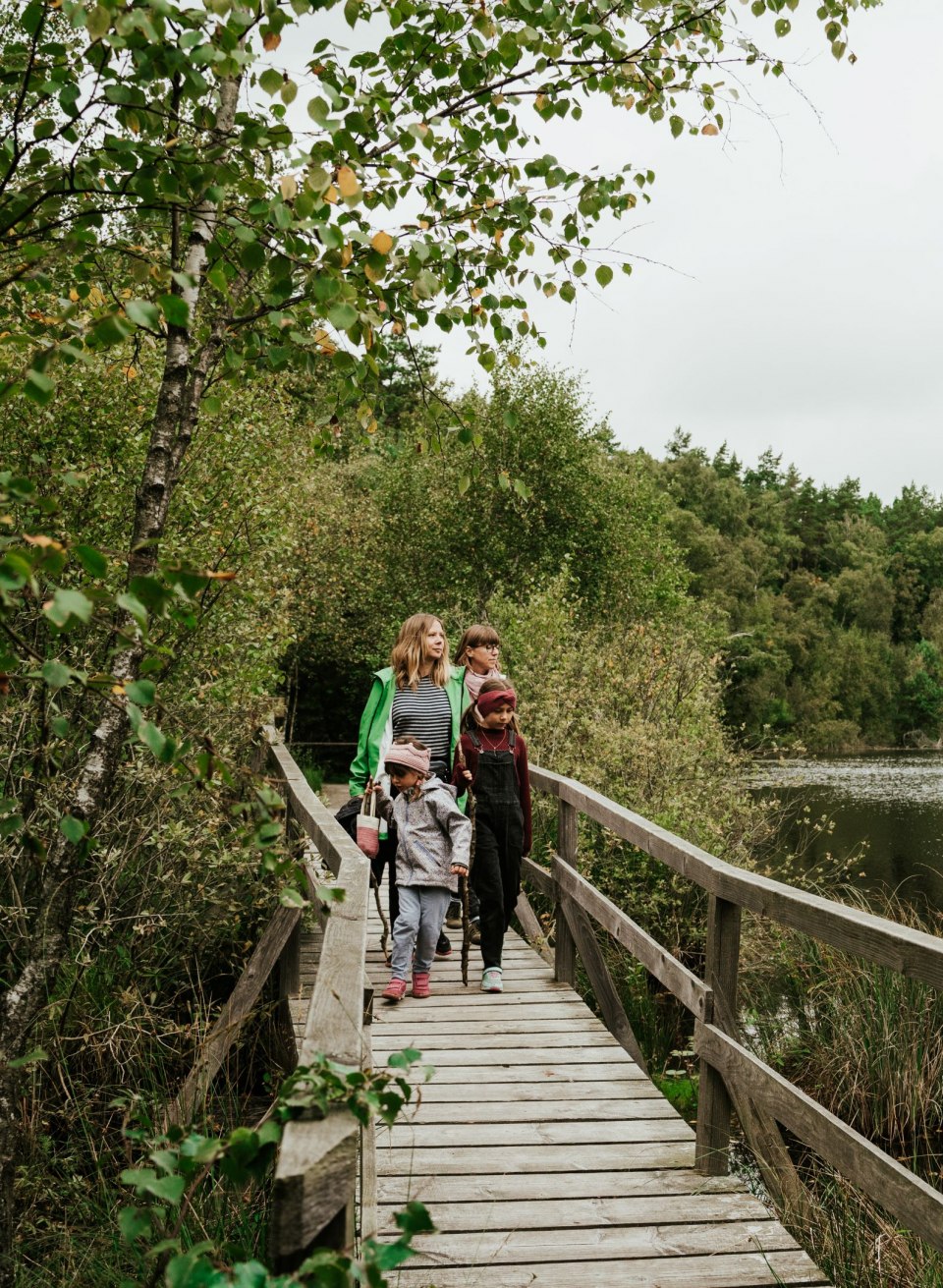 Eine Familie erkundet den M&uuml;ritz-Nationalpark auf einem idyllischen Holzsteg, der entlang eines ruhigen Sees durch dichte W&auml;lder f&uuml;hrt. Umgeben von unber&uuml;hrter Natur genie&szlig;en sie die Stille und die Sch&ouml;nheit der Landschaft.