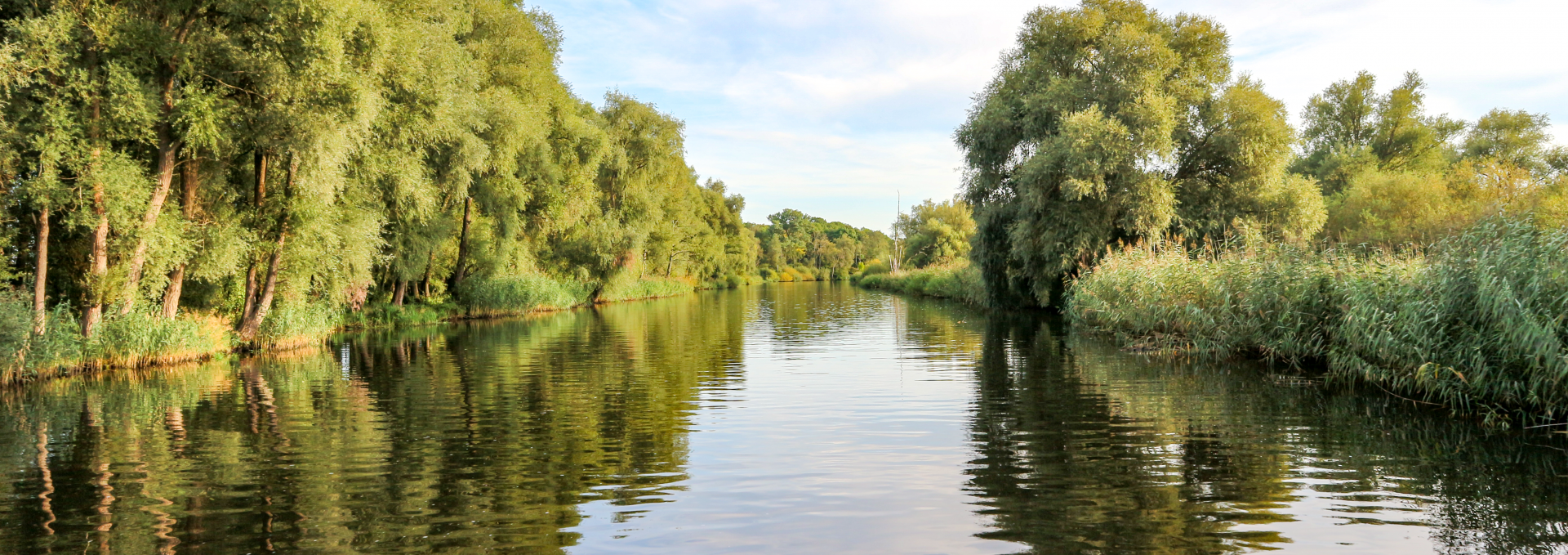 Die Naturlandschaft der Peene // &copy; MV-T/Witzel