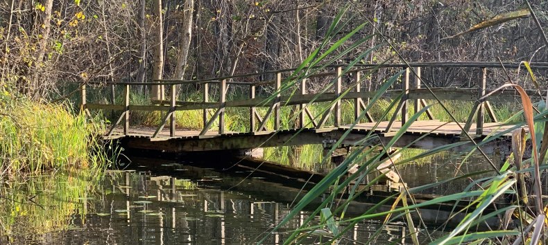Schaalebr&uuml;cke // &copy; E. Dornblut