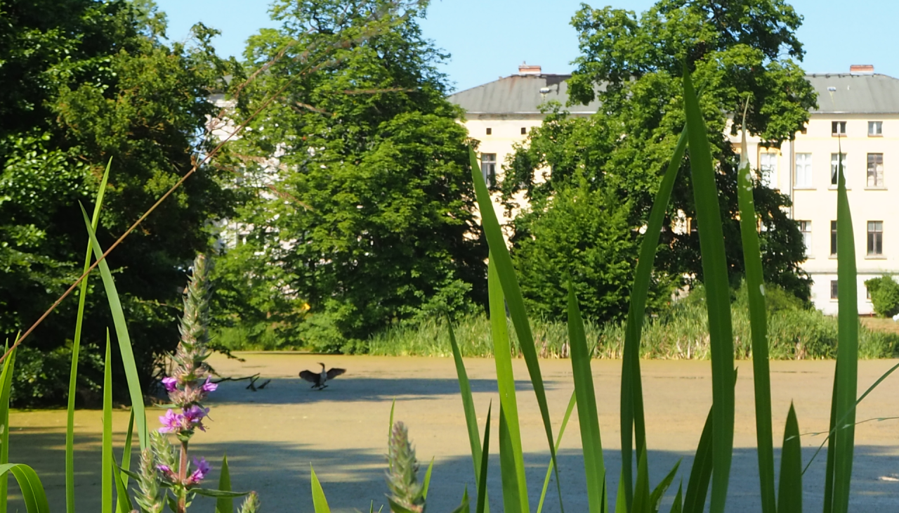 Im Schlosspark Semlow, © Tourismusverein VR/Manuela Steimle