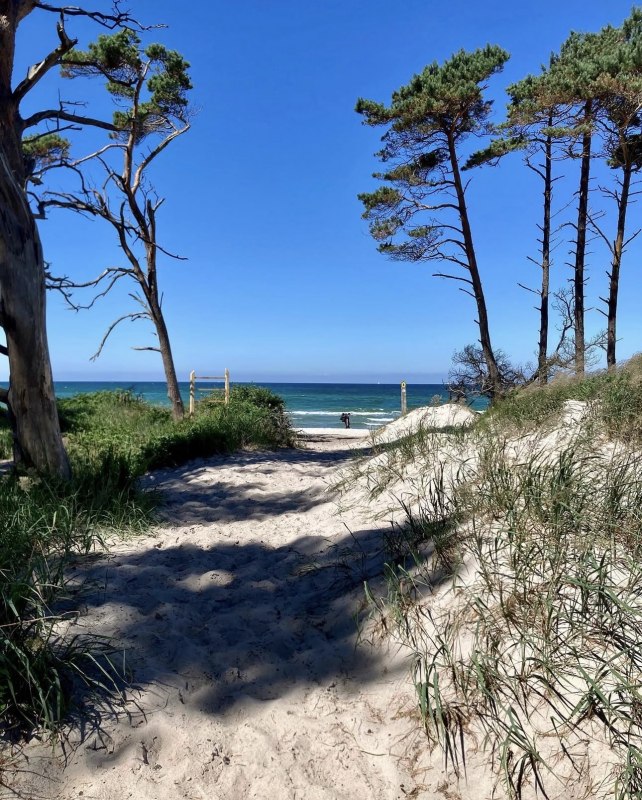 Westelijk strand // &copy; Islandpferdehof Fischland