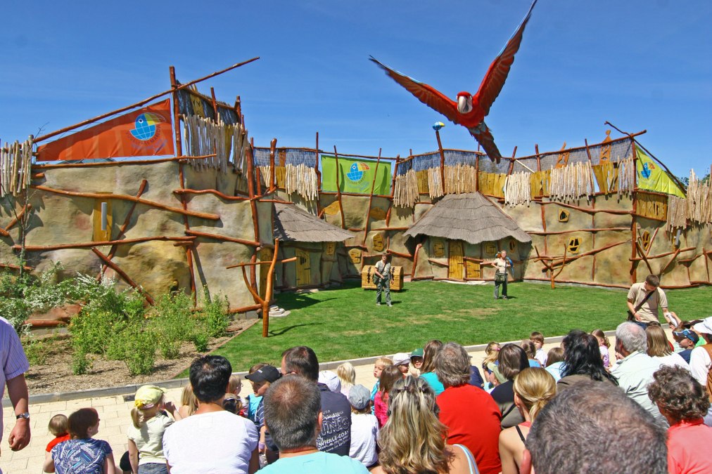 Tiershow-Begegnung, © Vogelpark Marlow/Zöger Tiershow-Begegnung, © Vogelpark Marlow/Zöger