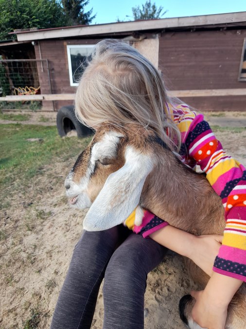 Unsere kleine Burderei, © Andrea Hauser