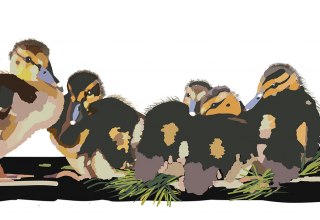 &copy; Maria Charlotte Wulff