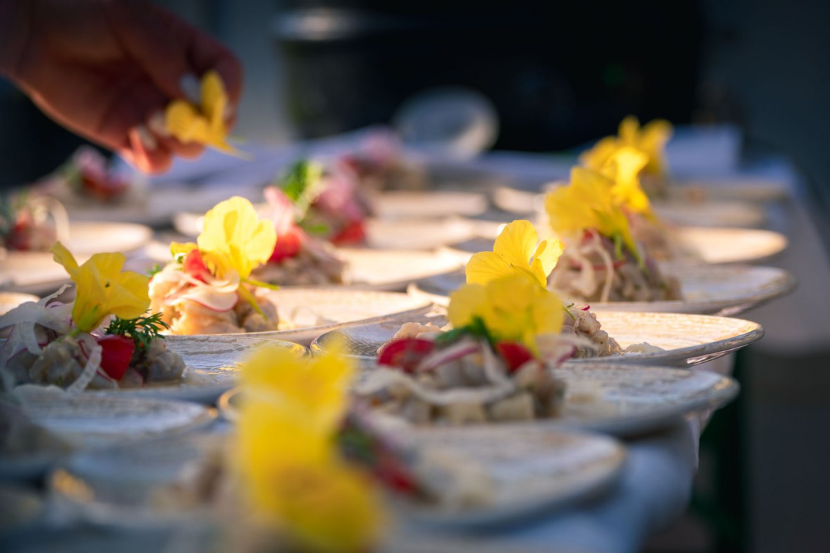 Dinner im Gewächshaus auf Gut Rosengarten // © Stefan Pocha Dinner im Gewächshaus auf Gut Rosengarten // © Stefan Pocha