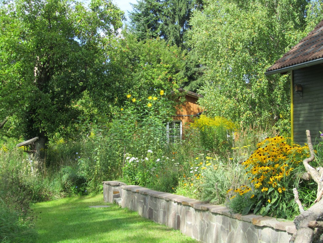 Terrasse vom Weidenhaus - eingewachsen in "wilder" Natur // © Ewald Krombholz Terrasse vom Weidenhaus - eingewachsen in "wilder" Natur // © Ewald Krombholz