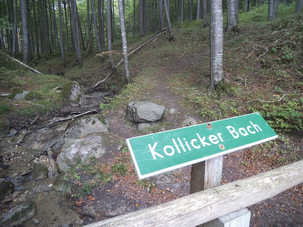 Kollicker Bach im Nationalpark Jasmund // &copy; Tourismuszentrale R&uuml;gen