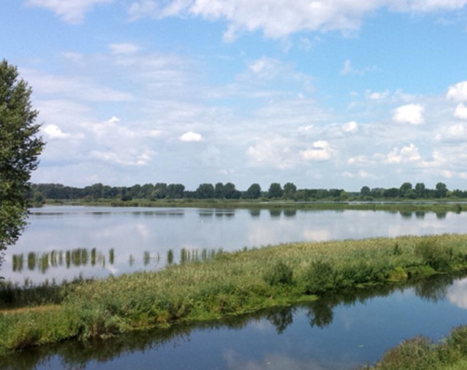 die Lewitz // &copy; adfc-Schwerin