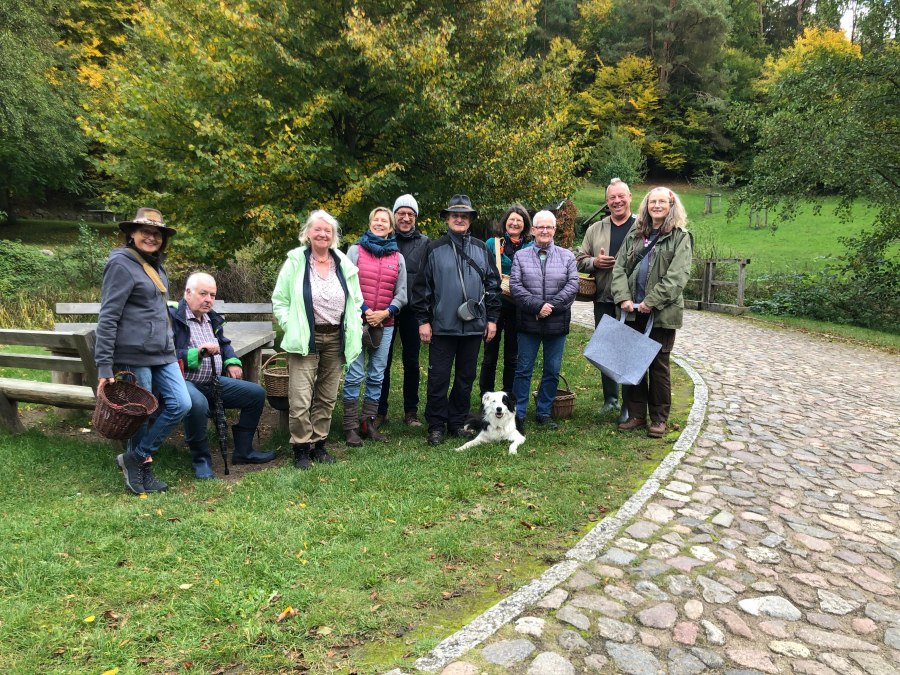 Pilzlehrg&auml;nge, &copy; Heike Brechler