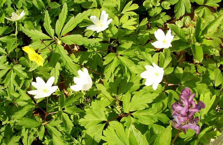 eigenes Foto, &copy; eigenes Foto