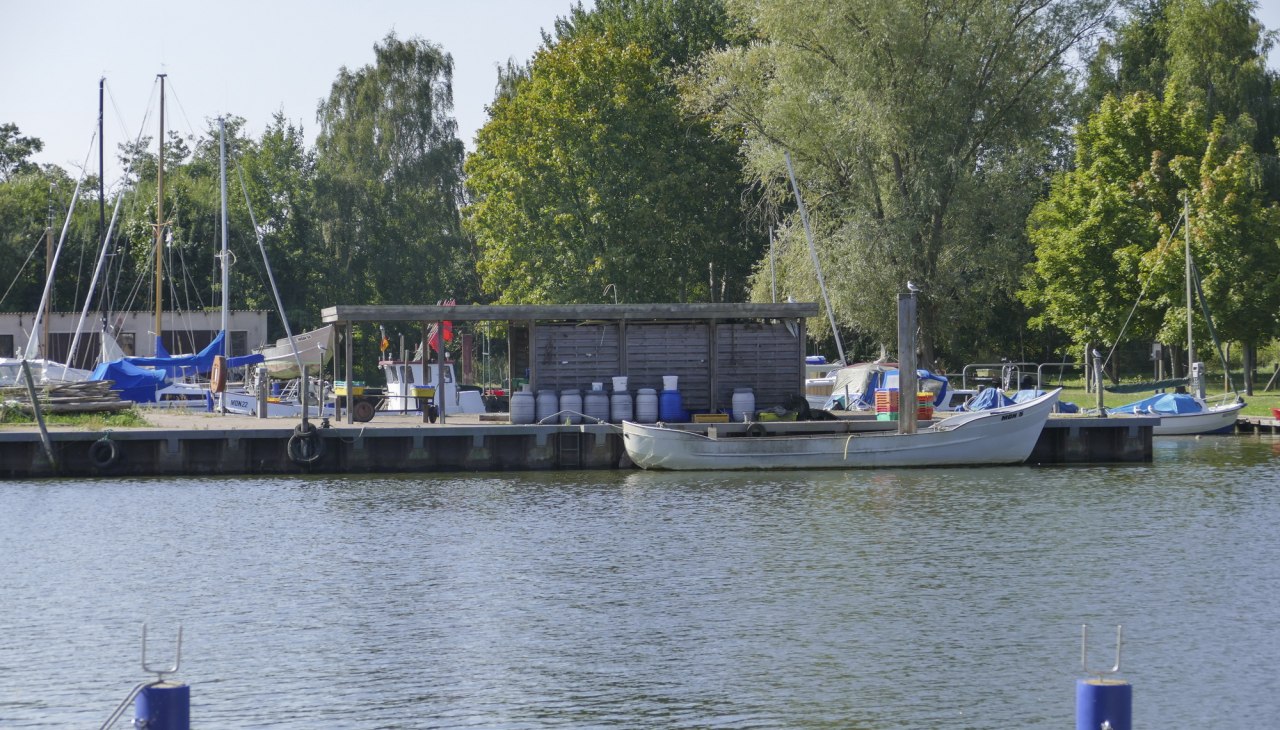 Der Fischereihafen liegt ebenfalls im Hafenbecken des Yachthafens gleich gegenüber, © TMV/cross media redaktion Der Fischereihafen liegt ebenfalls im Hafenbecken des Yachthafens gleich gegenüber, © TMV/cross media redaktion