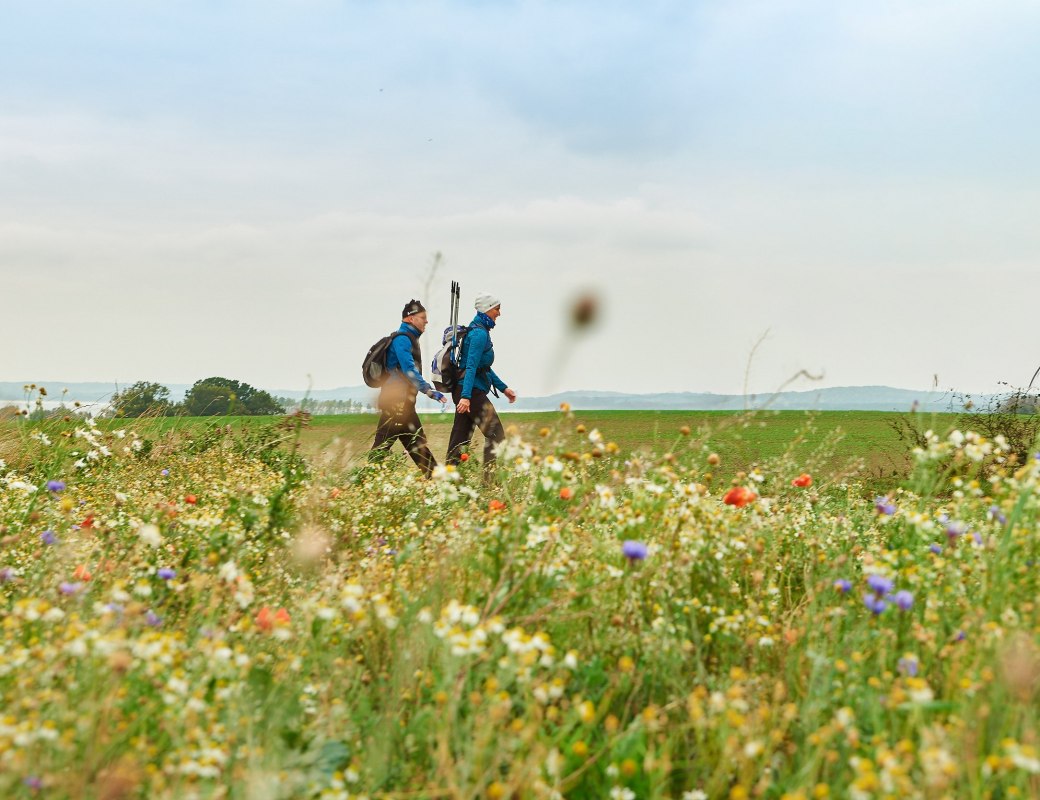 © Binzer Bucht Tourismus © Binzer Bucht Tourismus