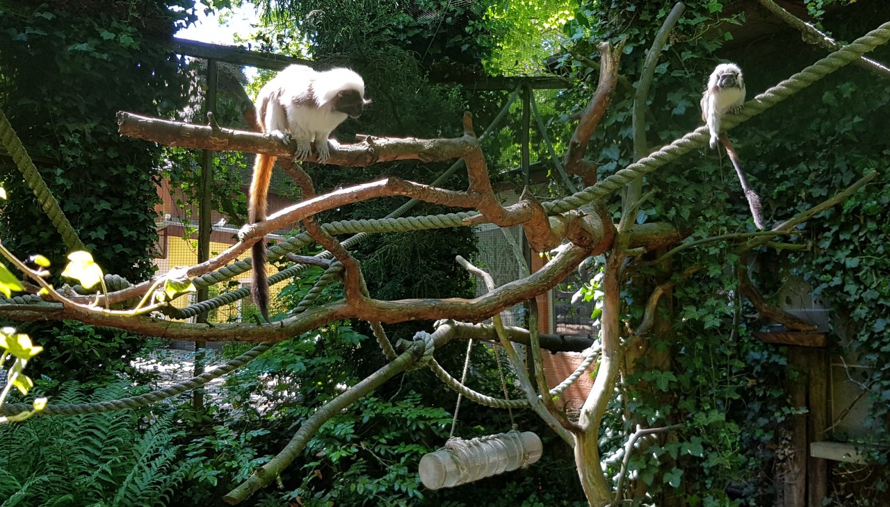 20210603_141844-01, &copy; Zoo Stralsund