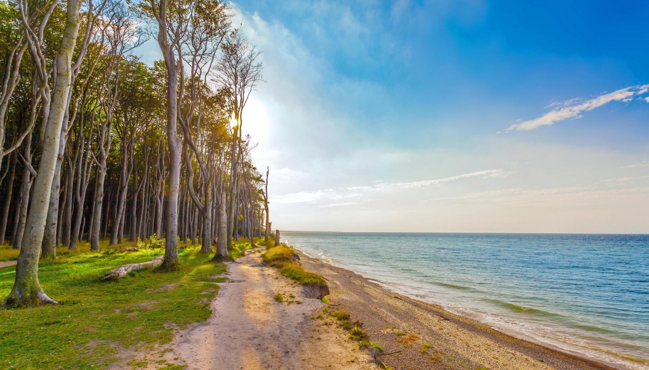 Gespensterwald Ostseebad Nienhagen, © OBN Gespensterwald Ostseebad Nienhagen, © OBN