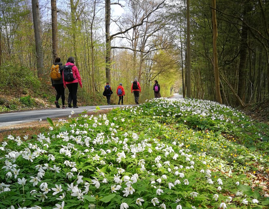 Stadt Rehna, &copy; Stadt Rehna