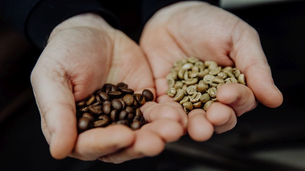 &copy; Fileo Kaffeemanufaktur GmbH