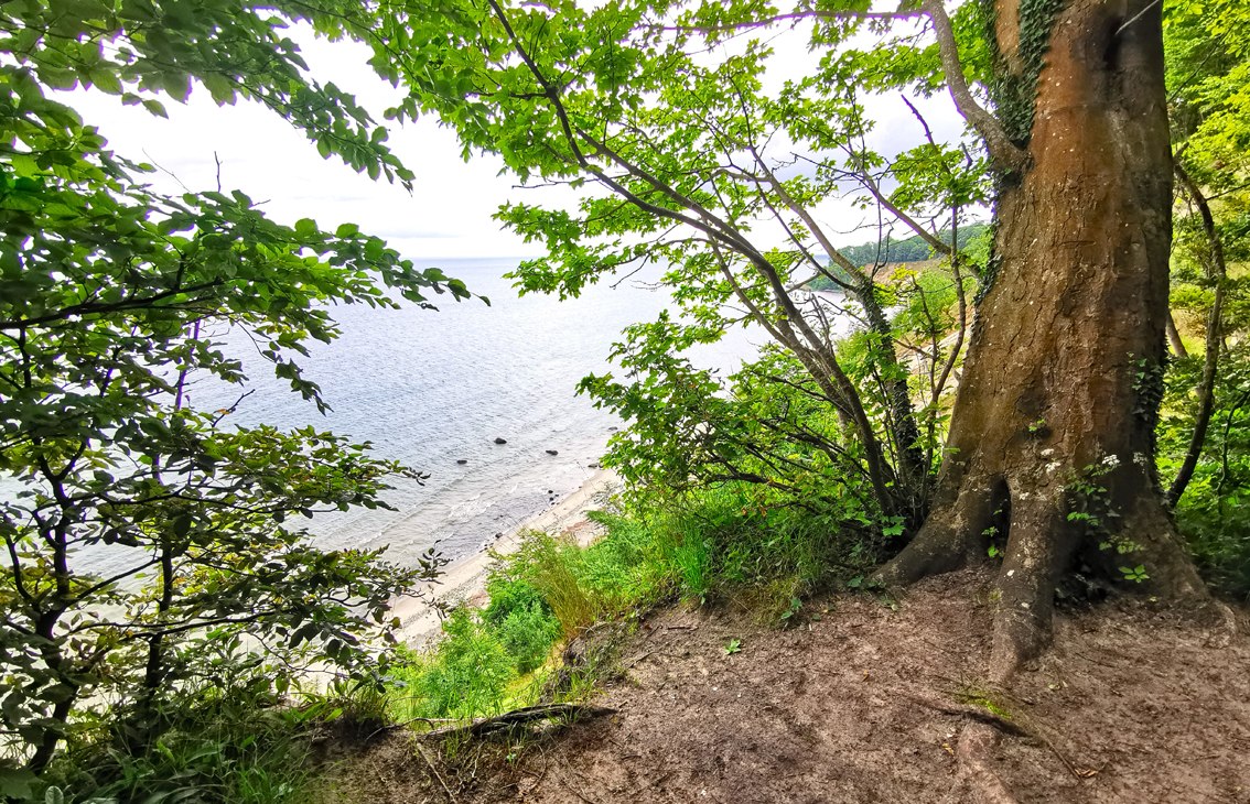 Rangerführung im Biosphärenreservat Südost-Rügen - Göhrener Nordperd, © Biosphärenreservat Südost-Rügen Rangerführung im Biosphärenreservat Südost-Rügen - Göhrener Nordperd, © Biosphärenreservat Südost-Rügen