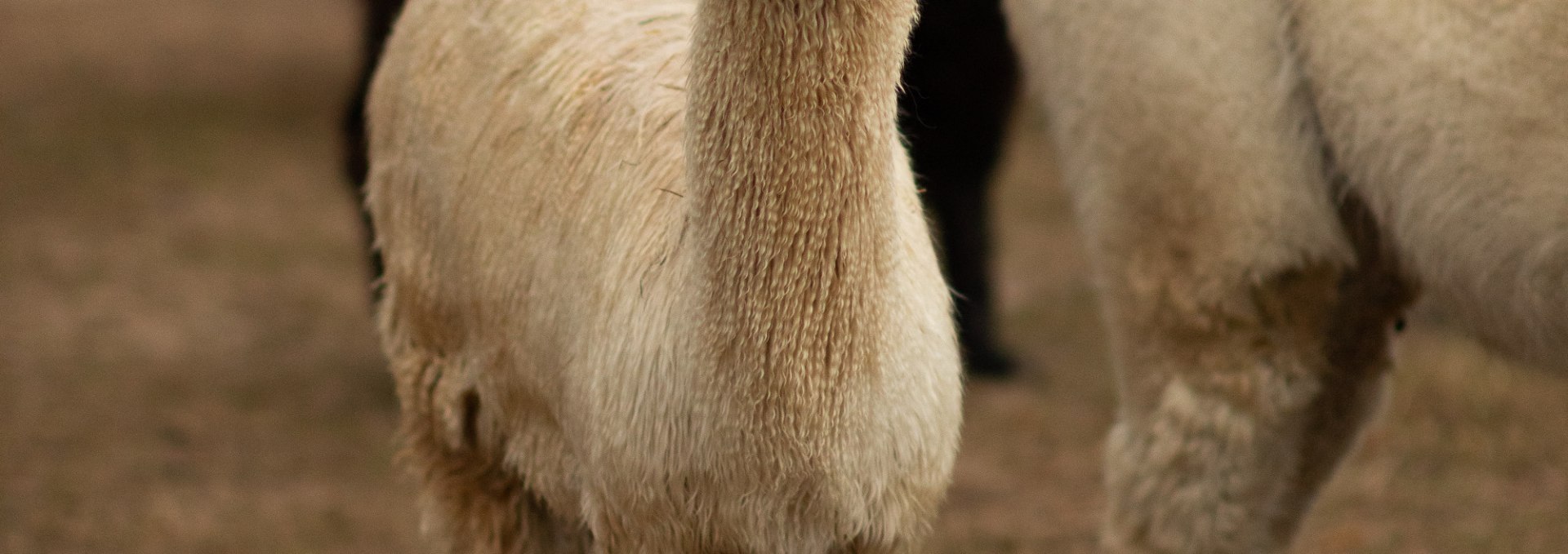 &copy; Sven Hasener / Gutes aus Vorpommern