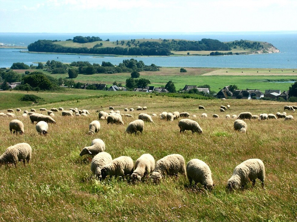 Uitzicht vanaf Bakenberg naar het eiland Vilm // &copy; Tourismuszentrale R&uuml;gen
