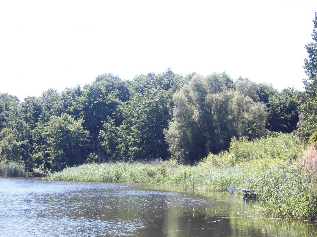 © 201513.jpg © 201513.jpg