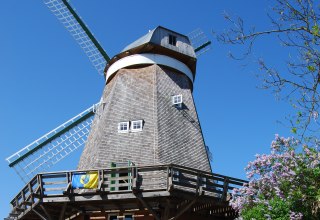 &copy; Sibylle B&ouml;hler