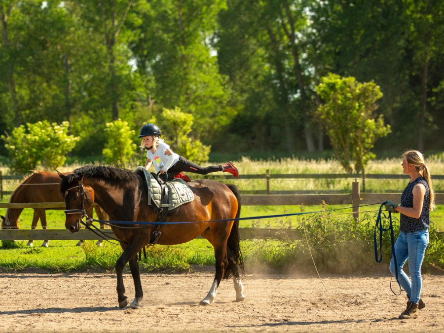Volticamp voor kinderen van 5-10 jaar. Vakantie-aanbieding van maandag-vrijdag 9-12 uur., &copy; Fotografie Ulrike Pawandenat
