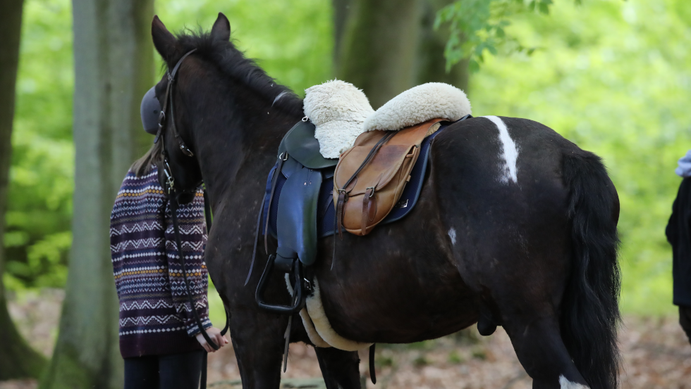 Even uit het zadel stappen en genieten van de natuur is een echte aanrader tijdens het trailrijden in Mecklenburg-Vorpommern. // &copy; TMV/Pantel