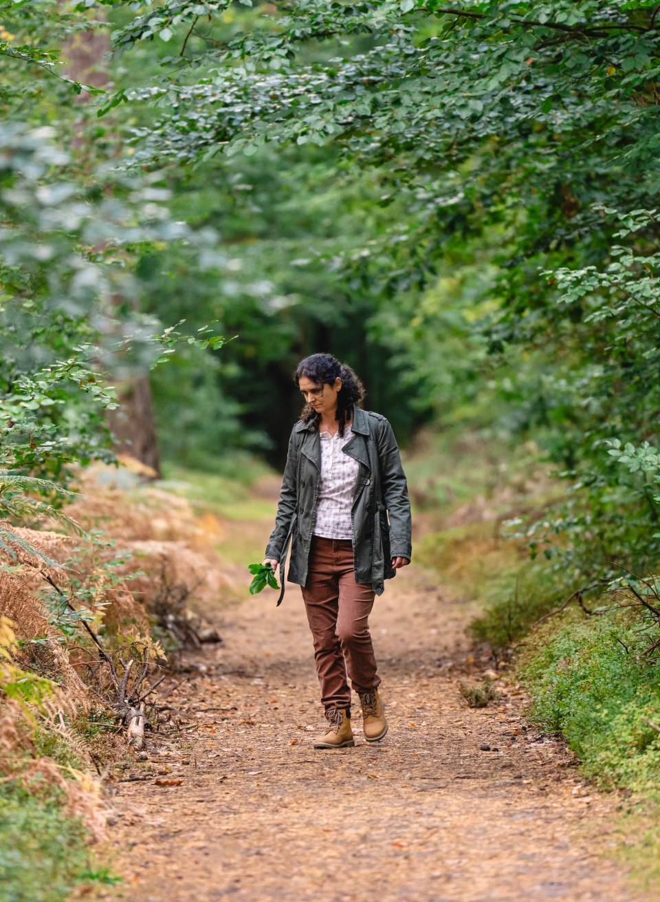 Frau sammelt Wildkräuter auf einem Waldweg im Ostseeheilbad Graal-Müritz. // Waldwege im Ostseeheilbad Graal-Müritz laden zum Wildkräutersammeln ein. Zwischen Buchen und Farnen lässt sich die Natur bewusst wahrnehmen – ein achtsames Erlebnis, bei dem jeder Schritt zu neuen Entdeckungen führt. // © MV-T/Gross Frau sammelt Wildkräuter auf einem Waldweg im Ostseeheilbad Graal-Müritz.