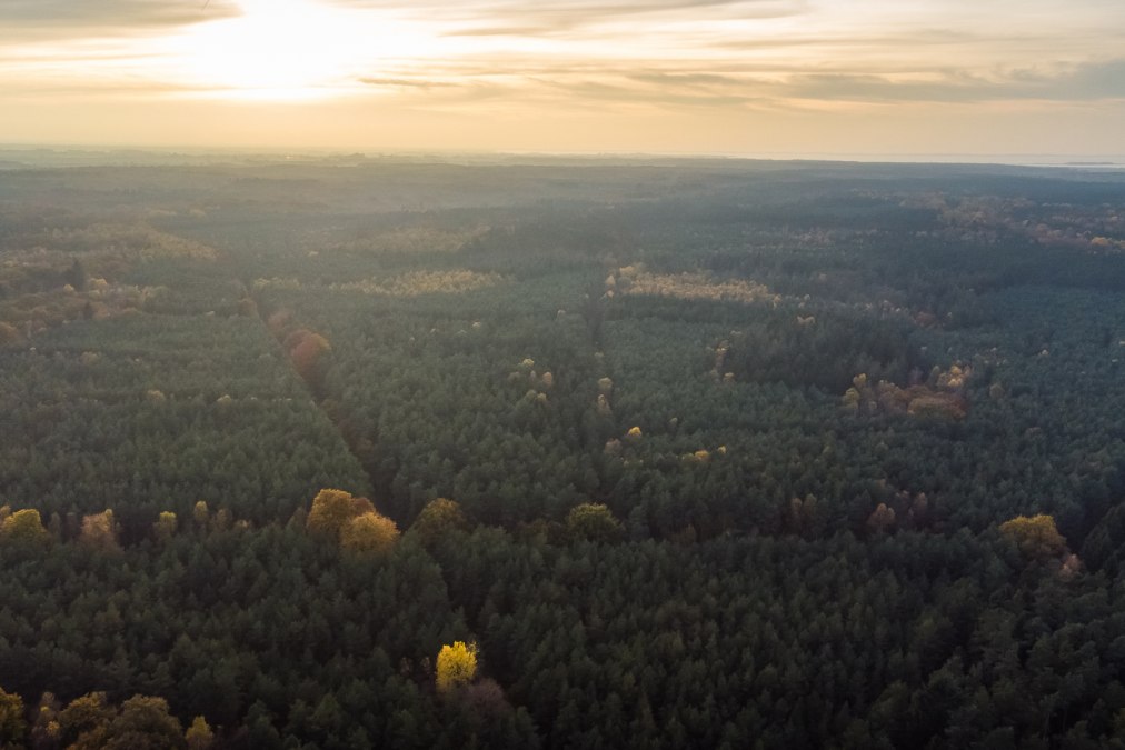 Barther Stadtforst, © Arndt Gläser Barther Stadtforst, © Arndt Gläser