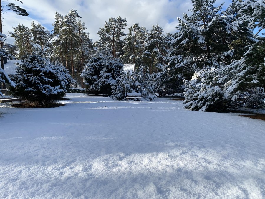 Vakantiepark Buntspecht Winter2, © Ferienpark Buntspecht Vakantiepark Buntspecht Winter2, © Ferienpark Buntspecht