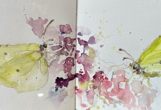 Blumen und Schmetterlinge // &copy; Daniela F. L&uuml;ers