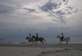 Einen Ausritt entlang des Ostseesaumes in der Abenddämmerung sicherlich ein Topabschluss eines Reiterlehrganges in Mecklenburg-Vorpommern // © MV-T/ Hafemann Einen Ausritt entlang des Ostseesaumes in der Abenddämmerung sicherlich ein Topabschluss eines Reiterlehrganges in Mecklenburg-Vorpommern // © MV-T/ Hafemann