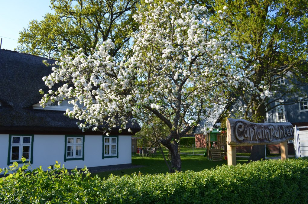 Captain Pahlen Ferienanlage, &copy; Captain Pahlen Ferienanlage