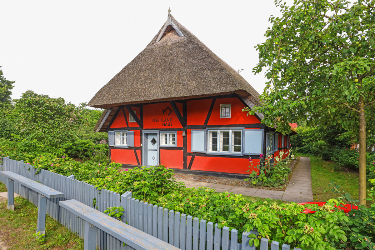 Fischlandhaus Bibliothek Ostseebad Wustrow // © TMV/Gohlke Fischlandhaus Bibliothek Ostseebad Wustrow // © TMV/Gohlke