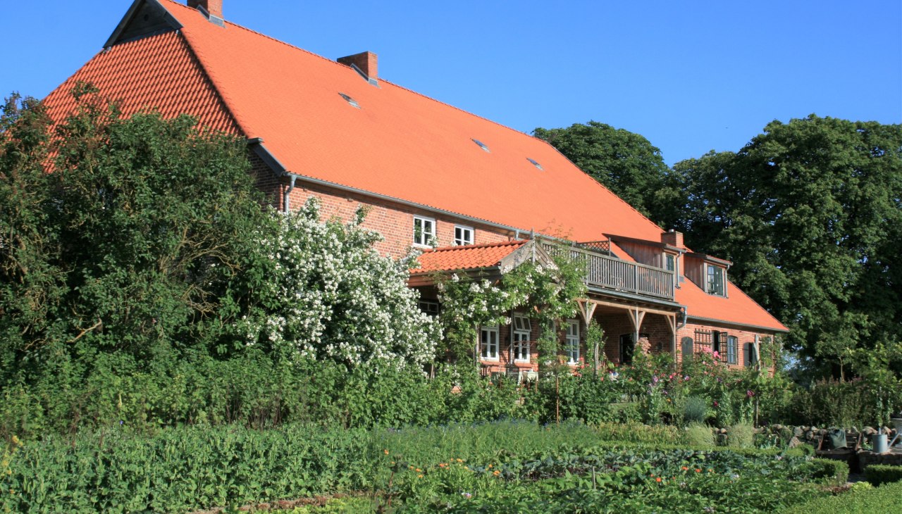 Groentetuin met oude gecultiveerde planten., &copy; Dirk Endrulat